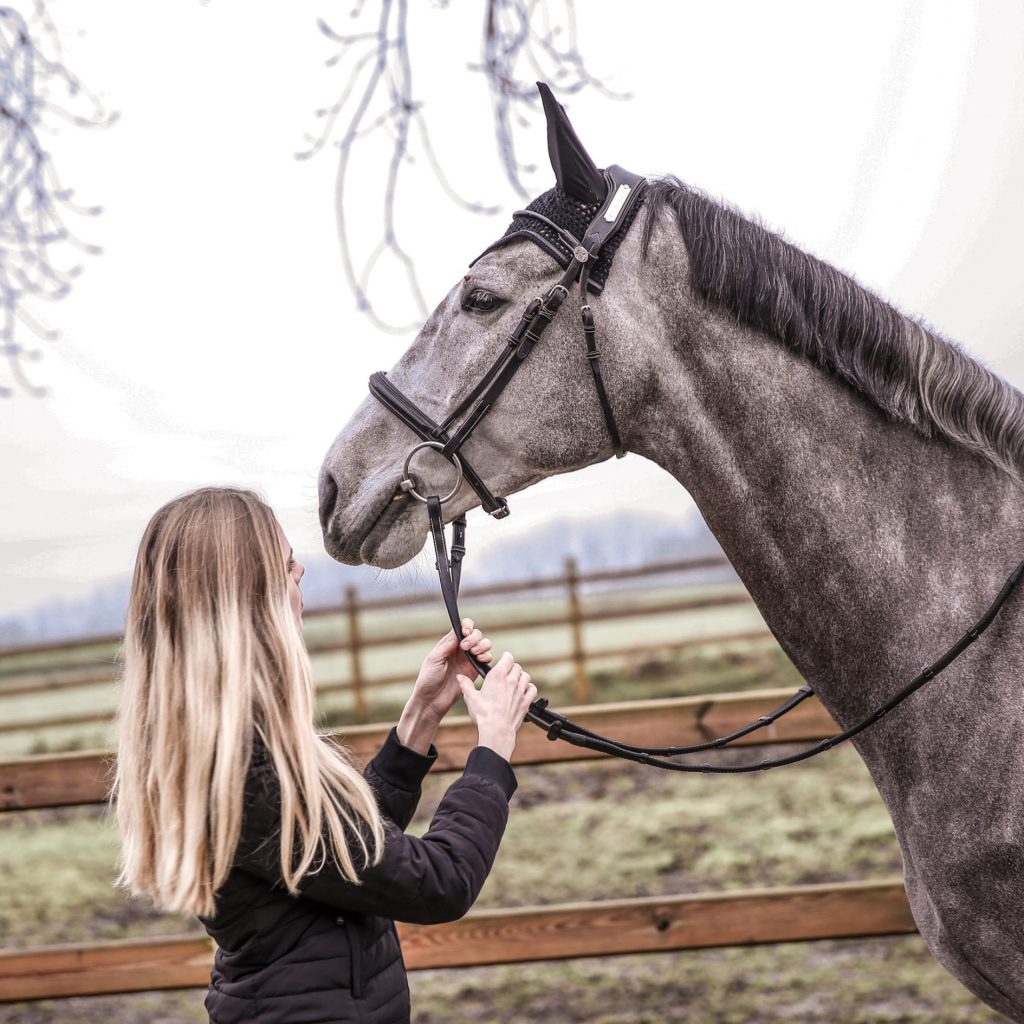 GEM au Haras de Barry