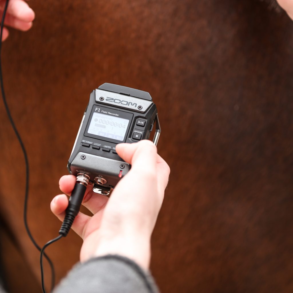 Carla Nahra au Haras d'Eloge