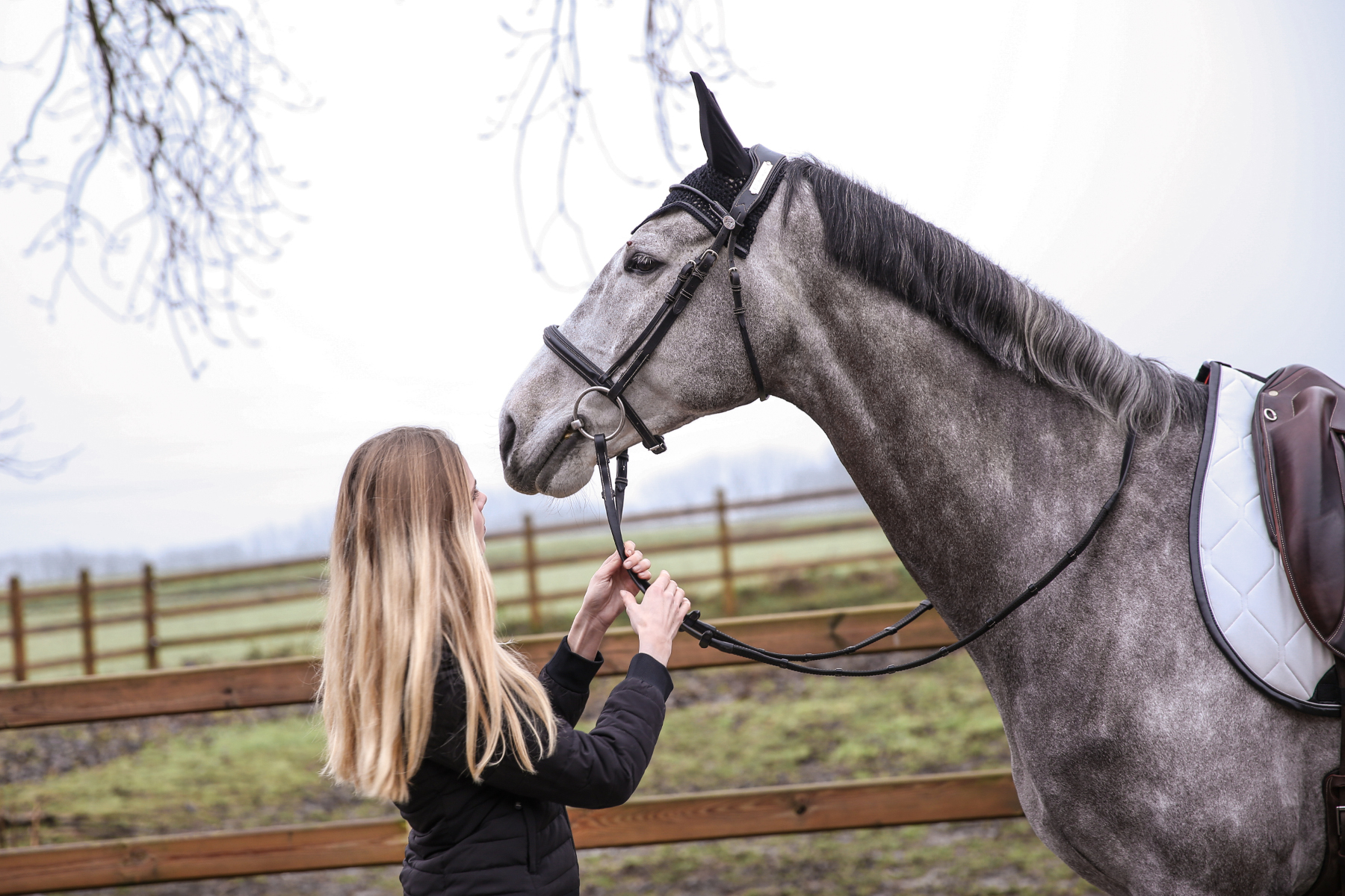 Haras de Barry